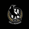 Collingwood Magpies - AFL Sustainable Down Puffy Blanket colour swatch
