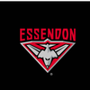 Essendon Bombers - AFL Sustainable Down Puffy Blanket colour swatch
