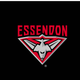 Essendon Bombers - AFL Sustainable Down Puffy Blanket colour swatch