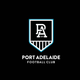 Port Adelaide Power - AFL Sustainable Down Puffy Blanket colour swatch