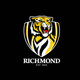 Richmond Tigers - AFL Sustainable Down Puffy Blanket colour swatch