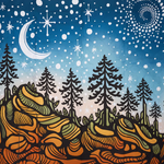 Starry Nights - Recycled Picnic Blanket