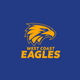 West Coast Eagles - AFL Sustainable Down Puffy Blanket colour swatch