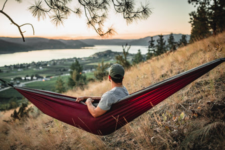 Merlot Red - Recycled Hammock with Straps